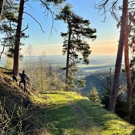 Rathausblick 2 Mit Infrarot-kabine *