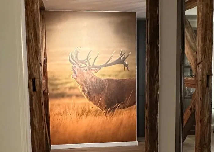 アパート Rathausblick 2 Mit Infrarot-kabine