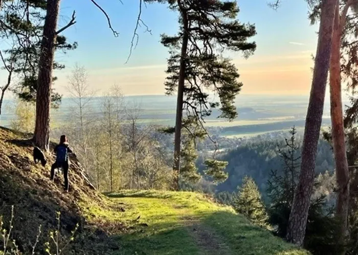 Rathausblick 2 Mit Infrarot-kabine *